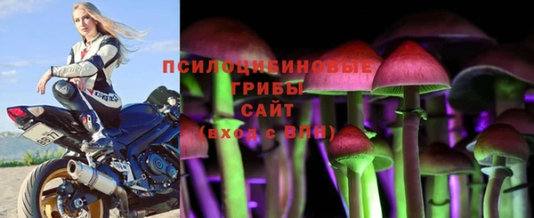 соль курить ск Козловка